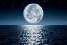 月光水岸参考