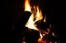 当木头爱上烈火注定会被烧伤