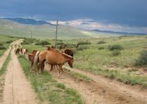 马头琴上的蒙古草原
