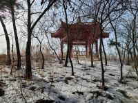中国现代的雪有多大?康熙九年大雪连降40天