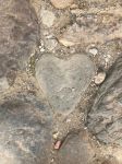 石头的爱情