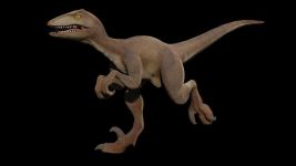 凶猛了!澳洲发现一亿年前恐龙新物种!