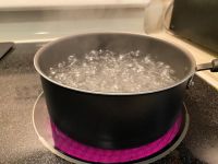 锅内放净水适量烧沸