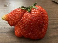 【12种水果的秘密功效】草莓培养耐心补维生素