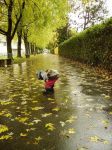 【秋雨】一一步杨开模《秋雨》韵而和之