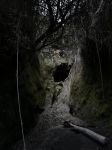 探究奥秘贝壳洞穴：隐藏千年文明