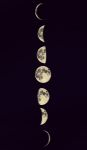 月夜：月以寄相思
