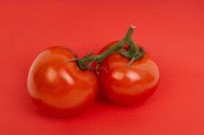 狂人日记：一颗鲜艳的西红柿