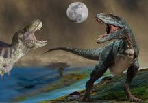 中国发现改写地球生命退化史:恐龙没灭绝