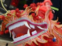 中国传统节日春节的作文800字