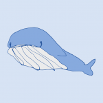 化身孤岛的蓝鲸