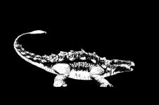 孔甲养龙：历史上孔甲居然把鳄鱼当成龙养?