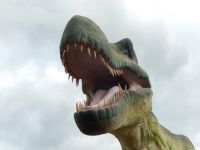 揭秘史上八大最珍贵化石：史前巨蟒可吞食恐龙