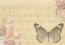 一场伴着音乐和蝴蝶的梦